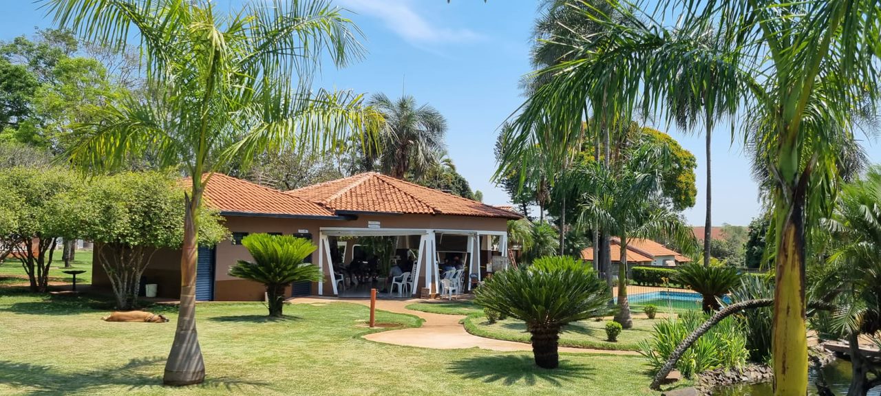 WhatsApp Image 2025-03-29 at 18.43.16.jpeg