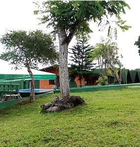 WhatsApp Image 2025-03-27 at 14.04.17-min.jpeg