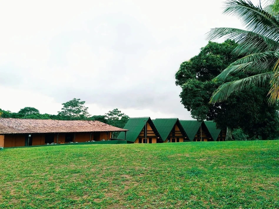 WhatsApp Image 2025-03-27 at 14.04.19-min.jpeg