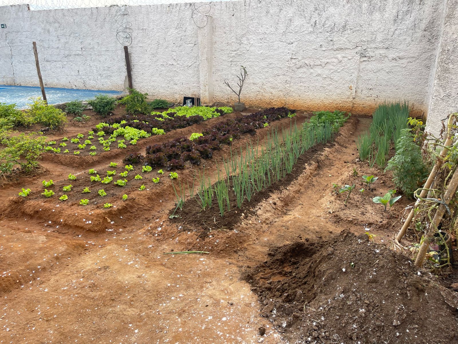 WhatsApp Image 2025-03-27 at 11.22.47 (1)-min.jpeg